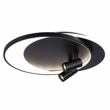 Светильник Ambrella Light FL51393/1+2 BK COMFORT