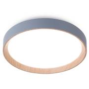 Светильник Design Ambrella Light FZ1320