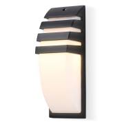  ST Ambrella Light ST5202