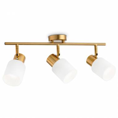 Спот Ambrella Light(TRADITIONAL) TR3972