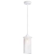 Светильник TR Ambrella Light TR8161