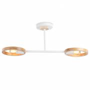 Светильник Loft Ambrella Light TR8243