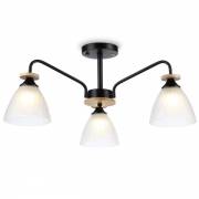 Люстра TRADITIONAL Ambrella Light TR9564