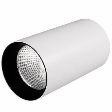 Точечный светильник Arlight 022939 (SP-POLO-R85-1-15W Day)