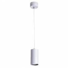 Светильник CANOPUS Arte Lamp A1516SP-1GY