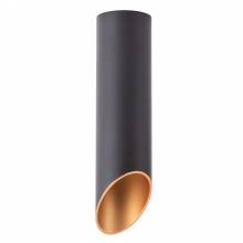 Точечный светильник PILON Arte Lamp A1535PL-1BK