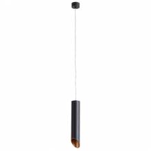 Светильник PILON Arte Lamp A1536SP-1BK