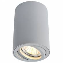 Точечный светильник SENTRY Arte Lamp A1560PL-1GY