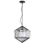 Светильник CASSEL Arte Lamp A1790SP-1BK
