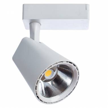 Светильник на однофазной шины Arte Lamp(AMICO) A1821PL-1WH