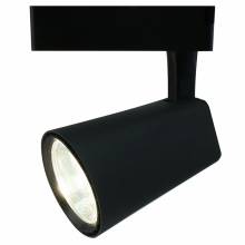  AMICO Arte Lamp A1830PL-1BK