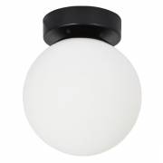 Светильник ALCOR Arte Lamp A2224PL-1BK