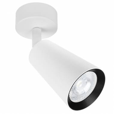 Точечный светильник Arte Lamp(CINTURA) A2352PL-1WH