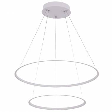 Светильник Arte Lamp (RAPID) A2500SP-2WH