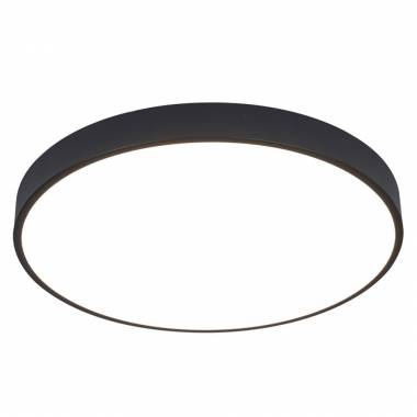 Светильник Arte Lamp(ARENA) A2672PL-1BK
