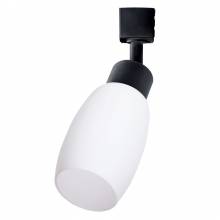  MIIA Arte Lamp A3055PL-1BK