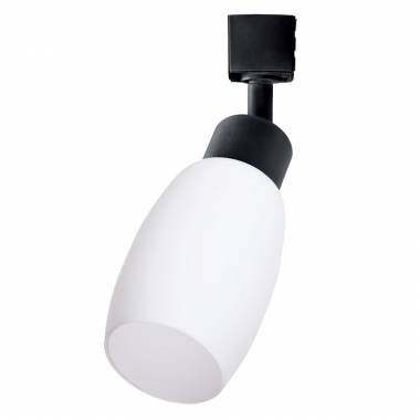 Светильник на однофазной шины Arte Lamp(MIIA) A3055PL-1BK