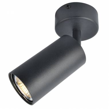 Спот Arte Lamp(AQUARIUS) A3216PL-1BK