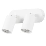 Спот AQUARIUS Arte Lamp A3226PL-2WH