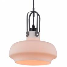 Светильник Lotte Arte Lamp A3624SP-1WH