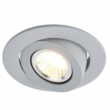 Точечный светильник Arte Lamp(ACCENTO) A4009PL-1GY