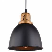 Светильник Eurica Arte Lamp A4245SP-1BK