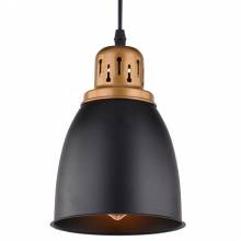Светильник Eurica Arte Lamp A4248SP-1BK