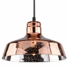 Светильник Lamfore Arte Lamp A4297SP-1AC