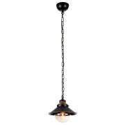 Светильник TERAMON Arte Lamp A4577SP-1CK