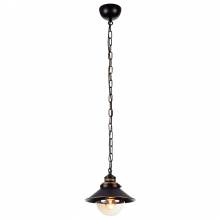 Светильник TERAMON Arte Lamp A4577SP-1CK