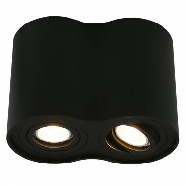 Точечный светильник Arte Lamp(FALCON) A5644PL-2BK