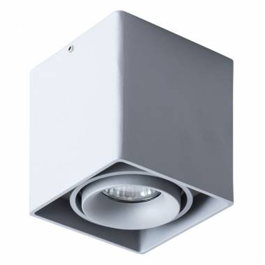 Точечный светильник Arte Lamp(PICTOR) A5654PL-1GY