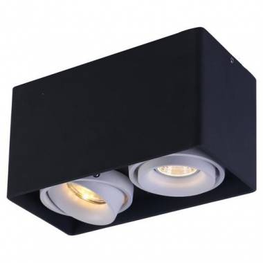 Точечный светильник Arte Lamp(PICTOR) A5654PL-2BK