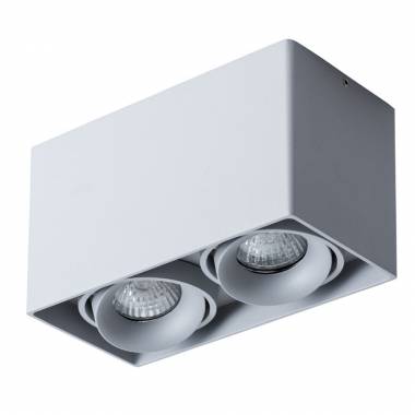 Точечный светильник Arte Lamp(PICTOR) A5654PL-2GY