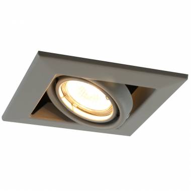 Точечный светильник Arte Lamp A5941PL-1GY Cardanno 1