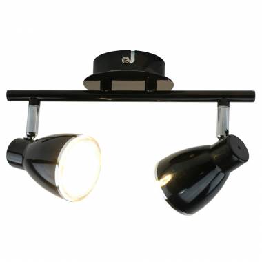 Спот Arte Lamp A6008PL-2BK Laive