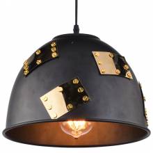 Светильник Eurica Arte Lamp A6023SP-1BK
