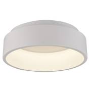 Светильник CORONA Arte Lamp A6245PL-1WH