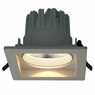 Точечный светильник Arte Lamp A7007PL-1WH Ronder
