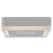 Точечный светильник Zomma 1 Arte Lamp A7709PL-2WH