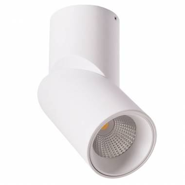 Точечный светильник Arte Lamp(ORIONE) A7717PL-1WH