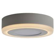 Точечный светильник Zomma 1 Arte Lamp A7806PL-2WH
