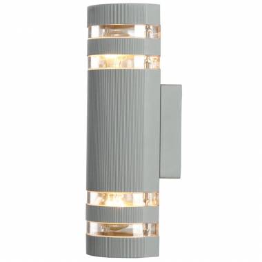 Уличный светильник Arte Lamp A8162AL-2GY Dotti