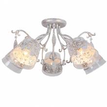 Люстра Optaleka Arte Lamp A9081PL-5WG