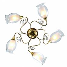 Люстра Gretti Arte Lamp A9289PL-5GO