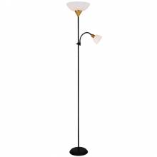 Торшер DUETTO Arte Lamp A9569PN-2BK