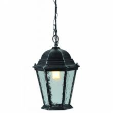  Genova Arte Lamp A1205SO-1BS