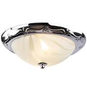 Светильник FETOLANA Arte Lamp A3008PL-2CC