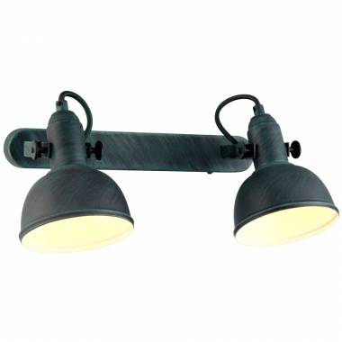 Спот Arte Lamp A5213AP-2BG MARTIN