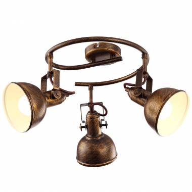 Спот Arte Lamp A5215PL-3BR MARTIN